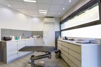 Consultation vétérinaire reims